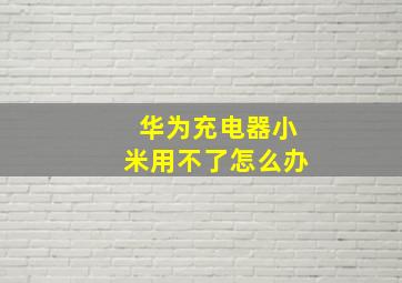 华为充电器小米用不了怎么办