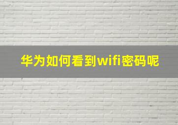 华为如何看到wifi密码呢