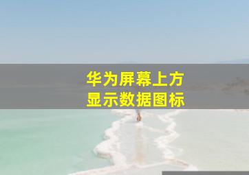 华为屏幕上方显示数据图标