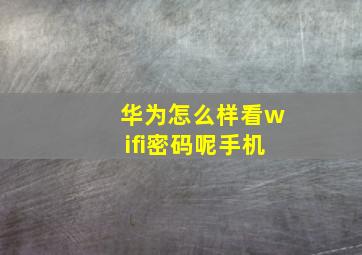 华为怎么样看wifi密码呢手机