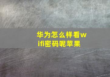 华为怎么样看wifi密码呢苹果