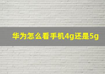 华为怎么看手机4g还是5g