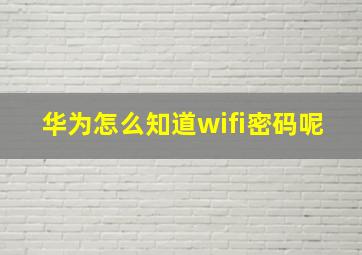 华为怎么知道wifi密码呢