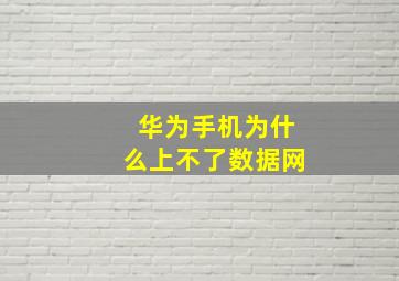 华为手机为什么上不了数据网