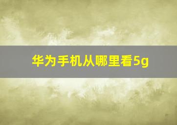 华为手机从哪里看5g