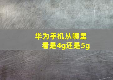 华为手机从哪里看是4g还是5g