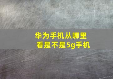 华为手机从哪里看是不是5g手机