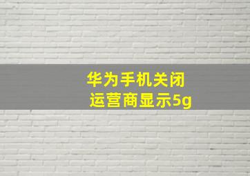 华为手机关闭运营商显示5g