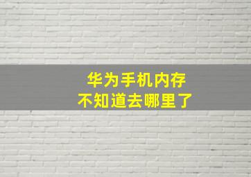 华为手机内存不知道去哪里了