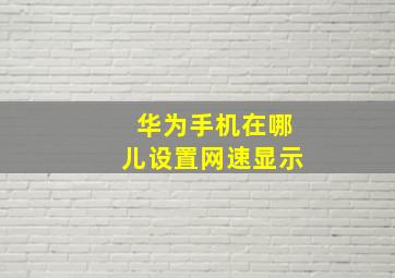 华为手机在哪儿设置网速显示