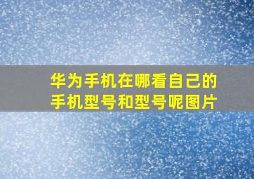 华为手机在哪看自己的手机型号和型号呢图片