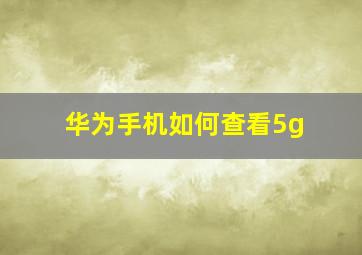 华为手机如何查看5g