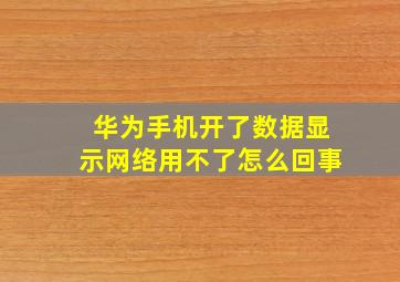 华为手机开了数据显示网络用不了怎么回事