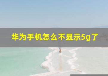 华为手机怎么不显示5g了