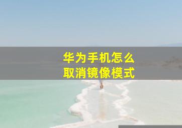 华为手机怎么取消镜像模式