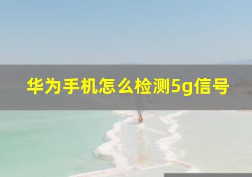 华为手机怎么检测5g信号