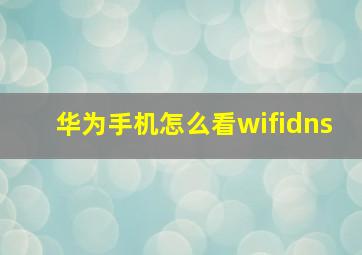 华为手机怎么看wifidns