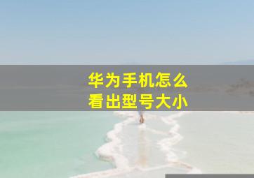 华为手机怎么看出型号大小