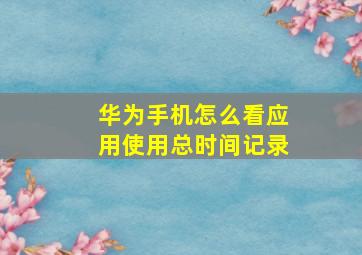 华为手机怎么看应用使用总时间记录