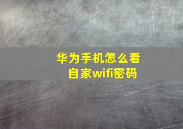 华为手机怎么看自家wifi密码