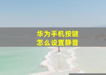 华为手机按键怎么设置静音