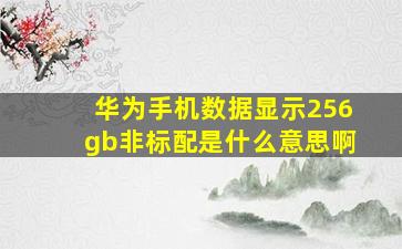 华为手机数据显示256gb非标配是什么意思啊