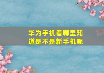 华为手机看哪里知道是不是新手机呢