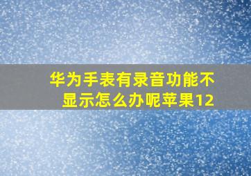 华为手表有录音功能不显示怎么办呢苹果12