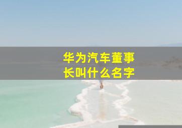 华为汽车董事长叫什么名字