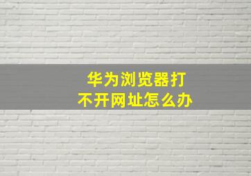 华为浏览器打不开网址怎么办