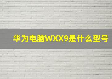 华为电脑WXX9是什么型号