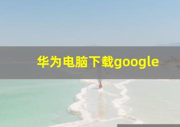 华为电脑下载google