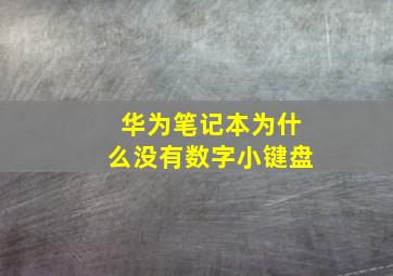 华为笔记本为什么没有数字小键盘