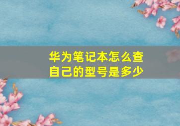 华为笔记本怎么查自己的型号是多少