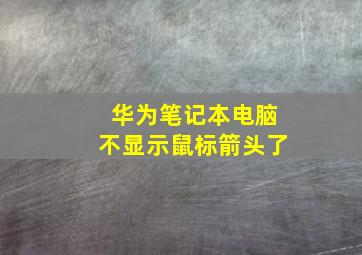 华为笔记本电脑不显示鼠标箭头了