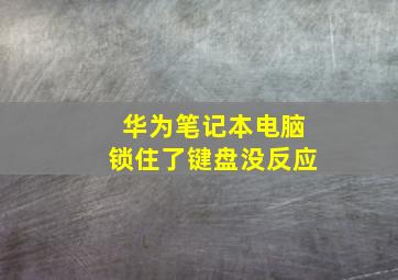 华为笔记本电脑锁住了键盘没反应