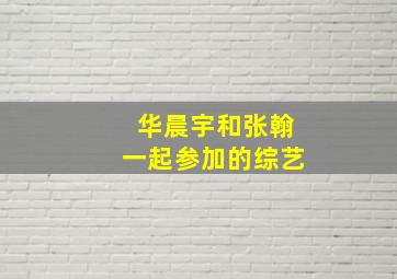 华晨宇和张翰一起参加的综艺