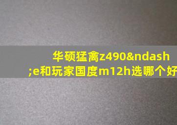 华硕猛禽z490–e和玩家国度m12h选哪个好