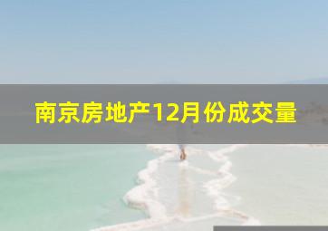 南京房地产12月份成交量