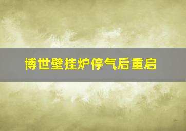 博世壁挂炉停气后重启