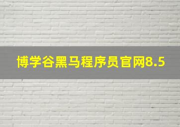 博学谷黑马程序员官网8.5