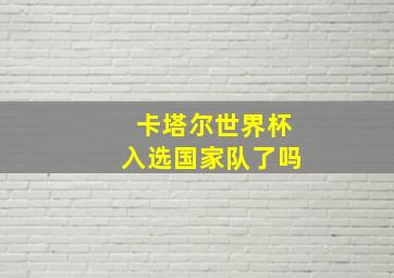 卡塔尔世界杯入选国家队了吗