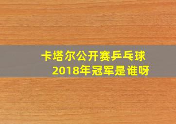 卡塔尔公开赛乒乓球2018年冠军是谁呀