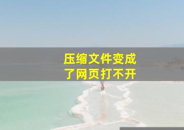 压缩文件变成了网页打不开