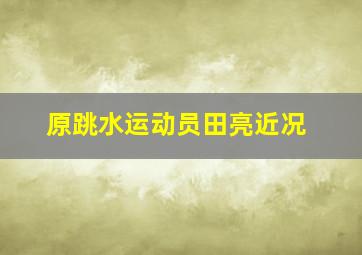 原跳水运动员田亮近况