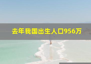 去年我国出生人口956万