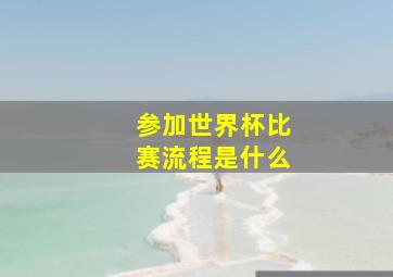 参加世界杯比赛流程是什么