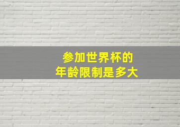 参加世界杯的年龄限制是多大