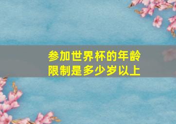 参加世界杯的年龄限制是多少岁以上