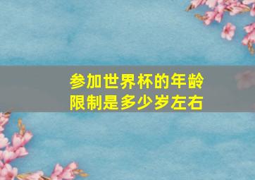 参加世界杯的年龄限制是多少岁左右